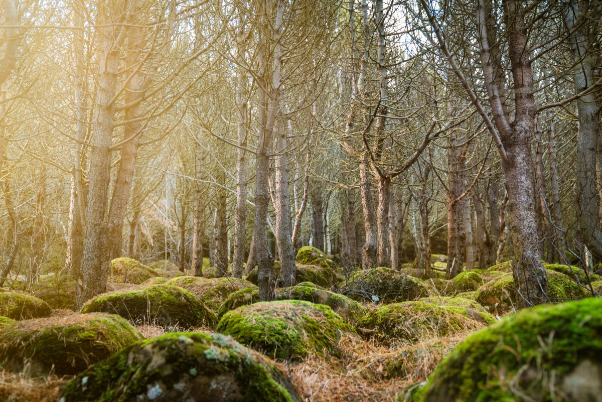 Viðurkenningar Öldrunarráðs Íslands 2018