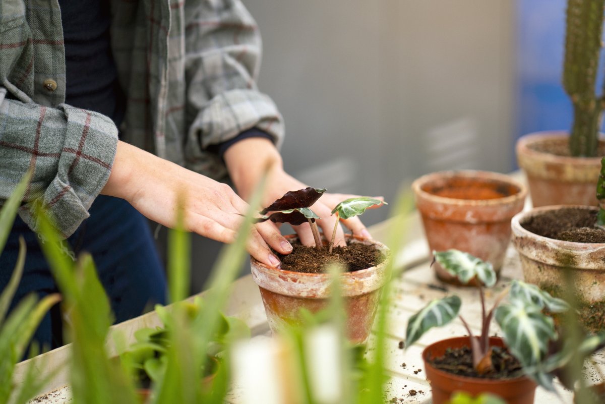 Raunávöxtun samtryggingarsjóða á Lífeyrismál.is