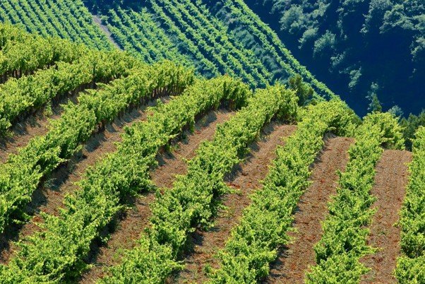 Markmið lífeyrissjóða í grænum fjárfestingum