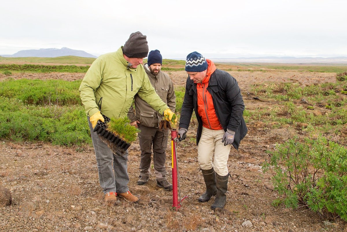 Einar Hafsteinsson, varamaður í stjórn Birtu, Trausti Jóhannsson, skógarvörður á Suðurlandi og Ólafu…