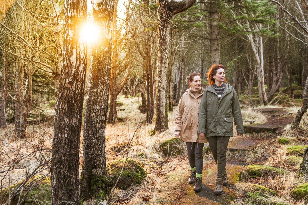 Undirbúningsnámskeið fyrir stjórnarmenn lífeyrissjóða vegna hæfismats FME