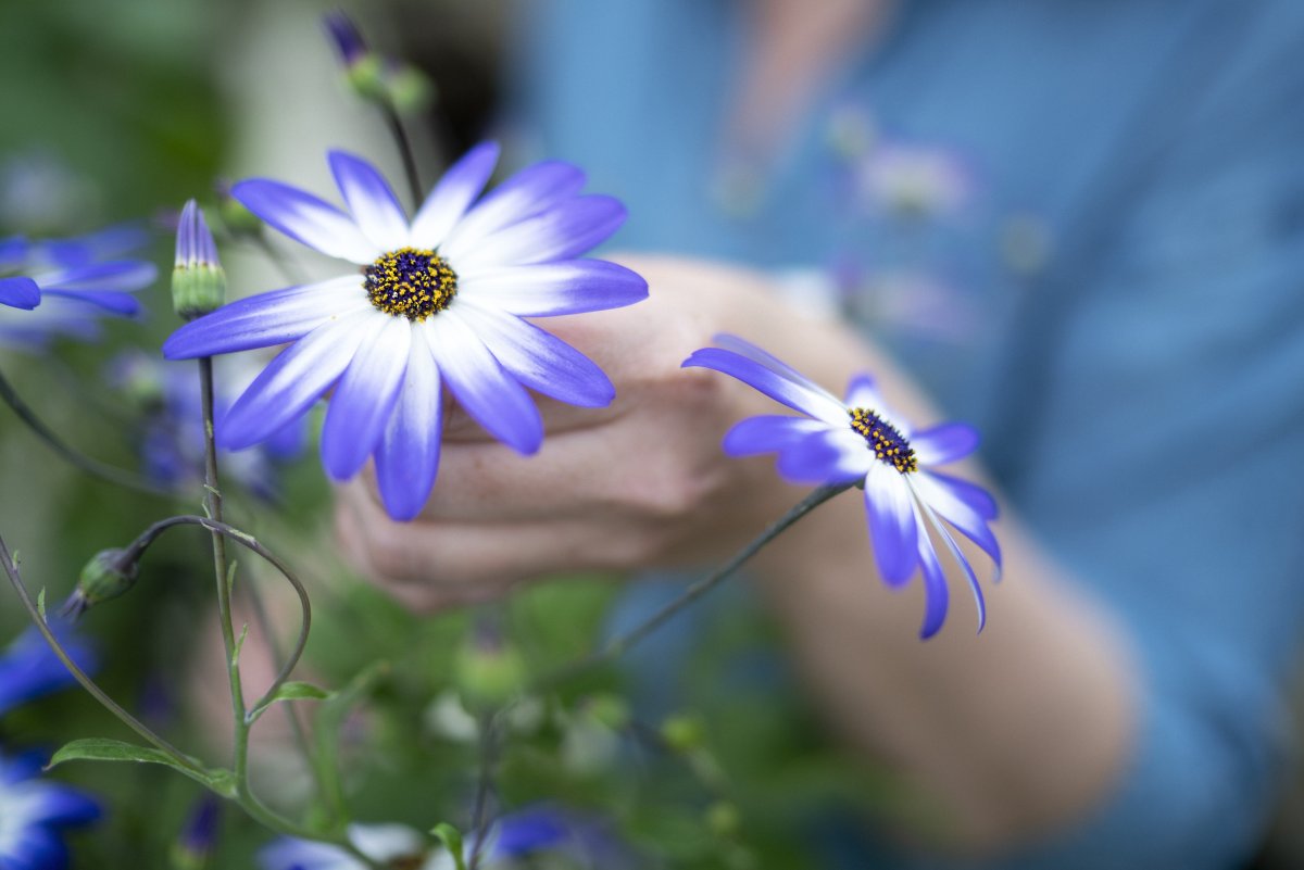 Ársfundir lífeyrissjóða 2021