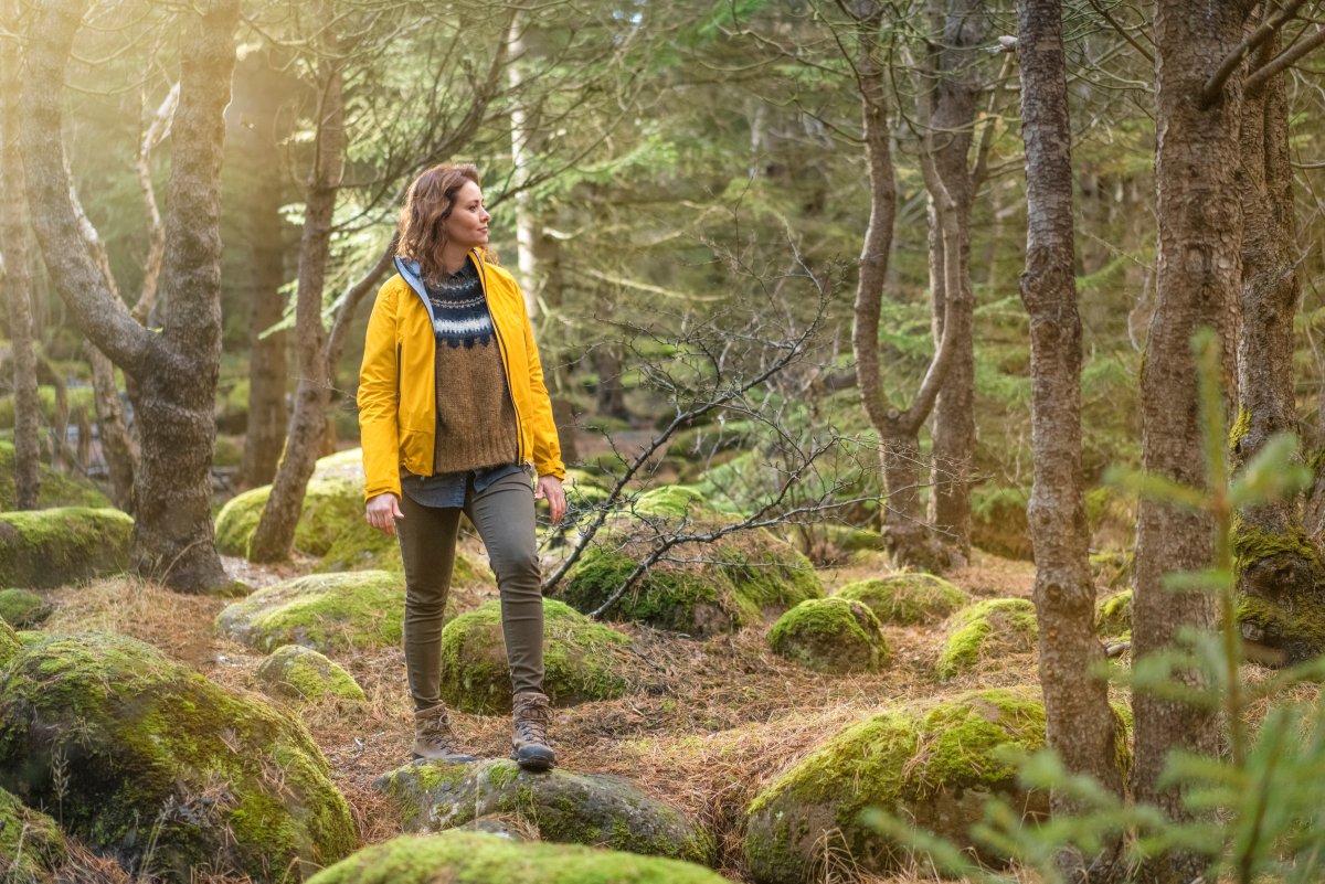 Námskeið Félagsmálaskóla alþýðu um áhættustjórnun lífeyrissjóða. Skráningu lýkur á hádegi 20. febrúa…
