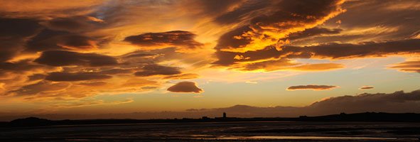 Starfsemi Landssamtaka lífeyrissjóða