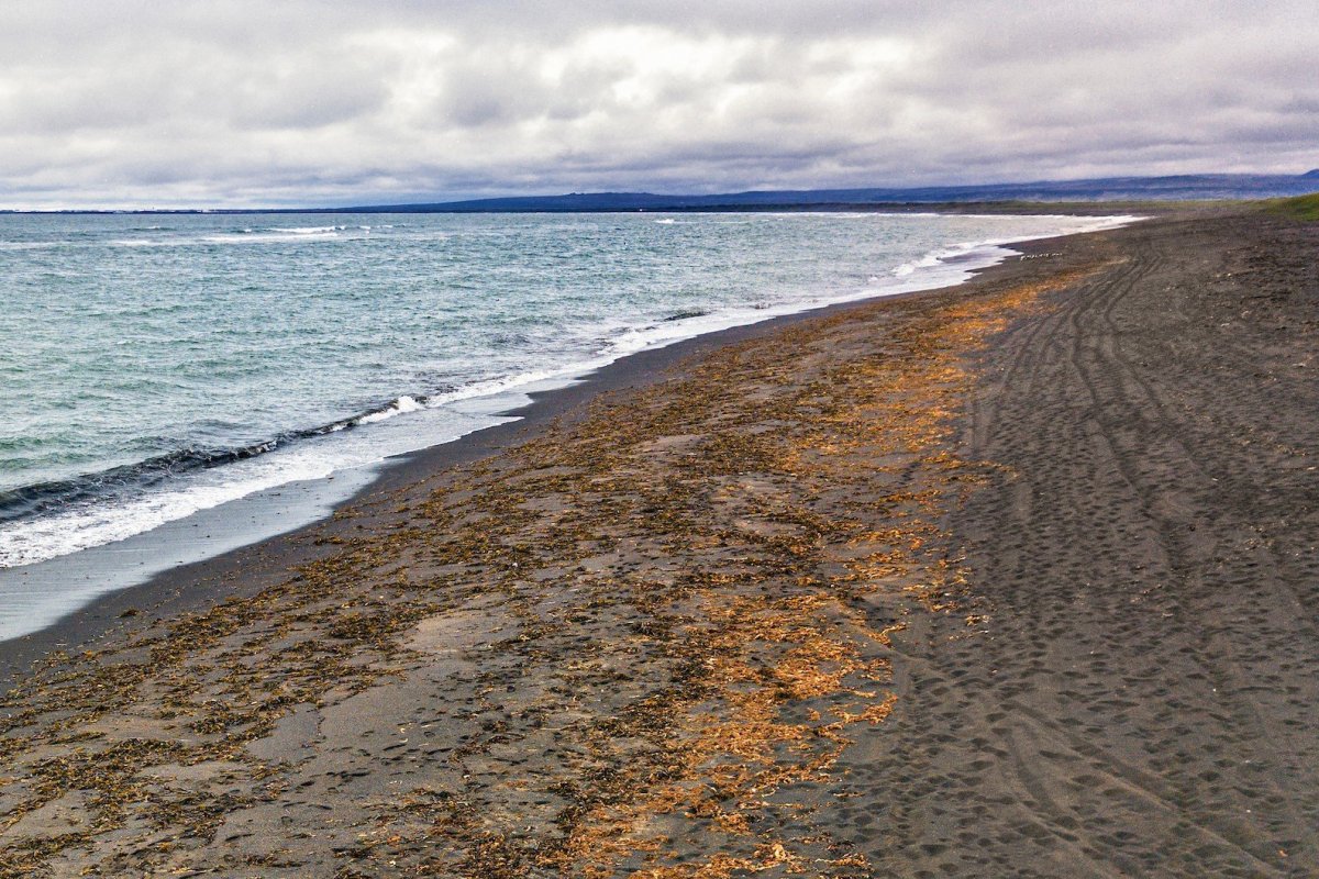 Ráðstafanir vegna stöðu mála í Grindavík