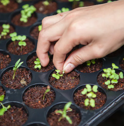 Stafræn tækni í átt að sjálfbærni