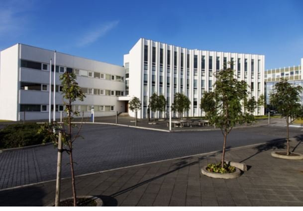 Robert Z. Aliber fjallar um erlendar fjárfestingar lífeyrissjóða