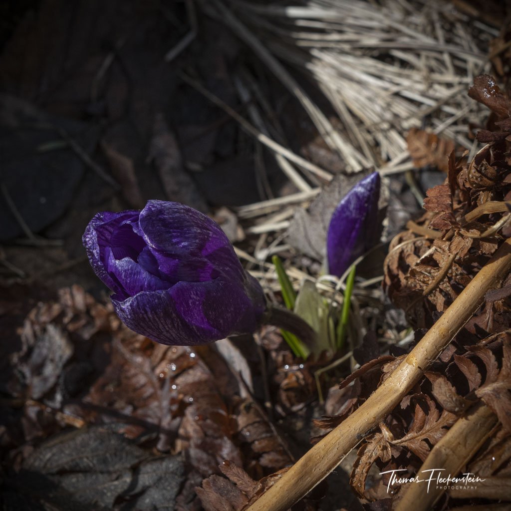 Landssamtök lífeyrissjóða óska landsmönnum öllum gleðilegra páska