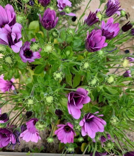 Landssamtök lífeyrissjóða óska landsmönnum öllum gleðilegra páska