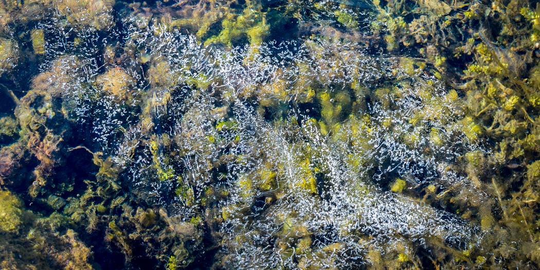 Kynning á skýrslu starfshóps um hlutverk lífeyrissjóða í atvinnulífinu